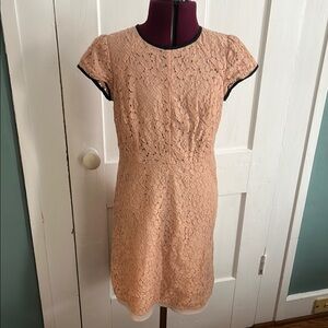 Rose Pink Lace Dress with Elegant Design